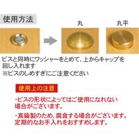 ダンドリビス DANDORI VIS 太鼓鋲風ネジキャップ 生地 丸平 10号箱 1箱（直送品）