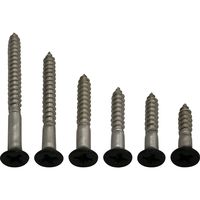 New Hikari (ニューヒカリ) ステンレス棚柱用ビス 黒頭 φ3.1×22 50本入 20袋（直送品）