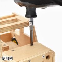 ワールドツール アストロプロダクツ AP 1/4HEX PH2スリムビットL65(2本入) 2002000034823 1個（直送品）