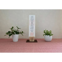 オフィスもこん お神札立て 土佐ヒノキ 1枚用 6300089091 1個（直送品）