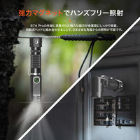 NICRON B74i 首振り 600LM 1個（直送品）