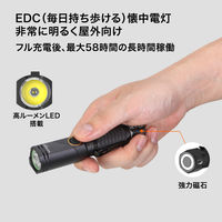NICRON B74Pro 首振り 1000LM 1個（直送品）