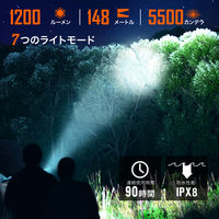 NICRON C1R ポケットライト レッド 1200LM C1-R 1個（直送品）