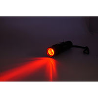 リッチボンド 4カラーLEDライト 電池付 FX-2115 1個（直送品）