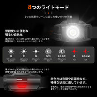 NICRON H30i ヘッドライト 500LM 1個（直送品）