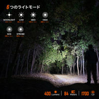 NICRON L74min Bi 首振り ブラック 400LM L74mini-B 1個（直送品）