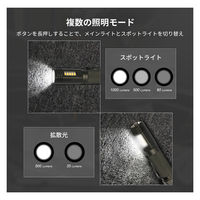 NICRON WL81 スリム型作業ライト 1000LM 1個（直送品）