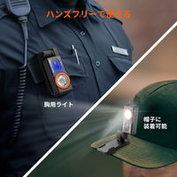 NICRON D10 ヘッドライト 500LM 1個（直送品）