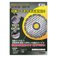 ダイヤテック 塩ビ管切断用ダイヤモンドカッター100mm EP100 1枚（直送品）