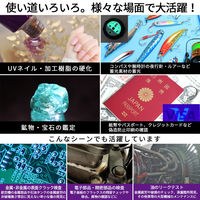 リッチボンド 365nmコンパクトUVライト KB-43 1個（直送品）