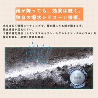 アリ・ムカデ粉剤 1kg 1個 フマキラー