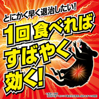 ドラ デスパワー 速効プレミアム 1箱（16個入） フマキラー