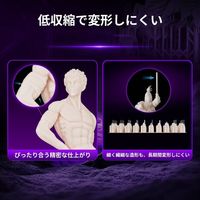 RESIONE SP64 Standard Pro Resin 1kg Light Peach RO-SP64Light 1個（直送品）