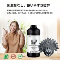 RESIONE WW123 水洗いレジン 1kg Cool Gray RO-WW123-Cool 1個（直送品）