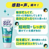 歯磨き粉 高濃度フッ素配合 クリアクリーンNEXDENT ピュアミント 120g 1本 花王