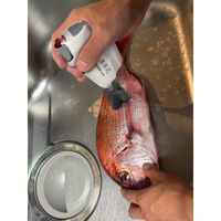 Hapyson 充電式ウロコ取り器 YH-370 1台（直送品）