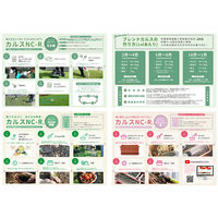 リサール酵産 カルスNCーR 10kg 2袋入り 284158 1個（直送品）