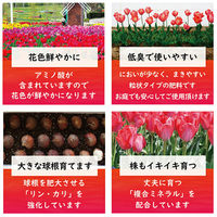 東商 球根の肥料 350g 286634 1個（直送品）