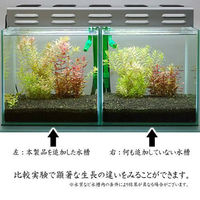 リーフ Leaf Corporation Fe Energy アクア 濃縮タイプ 20mL 57326 1個（直送品）