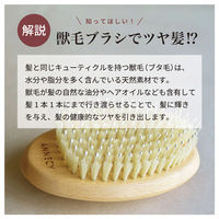 アヌシ Oval 獣毛ブラシAOJ-1000 82439 1個（直送品）