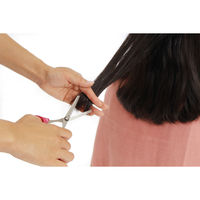 あいおらいと 日本製 職人の手作りスキハサミ 71848 1個（直送品）