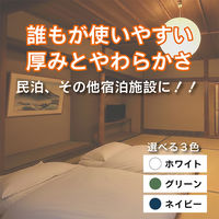 速乾ベーシックフェイスタオル ホワイト 1袋（2枚） 乾燥機対応 業務用 サロン仕様 伊澤タオル