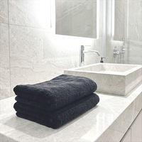 ハードユースフェイスタオル ブラック 1セット（1袋(2枚)×3） 業務用 サロン仕様 伊澤タオル