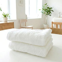 速乾ベーシックフェイスタオル ホワイト 1セット（1袋(2枚)×5） 乾燥機対応 業務用 サロン仕様 伊澤タオル