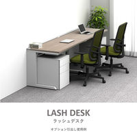 【軒先渡し】LASHデスク デスク オプション引出し 幅400×奥行325×高さ60mm ブラック 1台（直送品）