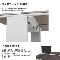 【軒先渡し】LASHデスク ティーレッグホール 幅4000×奥行1200×高さ720mm オーク天板/ホワイト脚 1台（直送品）