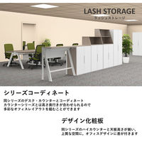 【軒先渡し】LASHストレージ 5段オープン 幅900×奥行450×高さ1738mm ホワイト 1台（直送品）