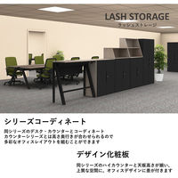 【軒先渡し】LASHストレージ 2段両開き 幅900×奥行450×高さ720mm ブラック 1台（直送品）