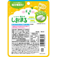 暑さ対策 塩分補給 塩分対策  しおまる　ひんやりれもんサイダー 30g 1セット（1個×12）