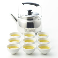 【水出し可】宇治の露製茶 煎茶ティーバッグ 業務用 1セット（300バッグ：100バッグ入×3袋）