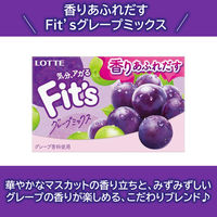 Ｆｉｔ’ｓ＜グレープミックス＞ 1セット（10個入）