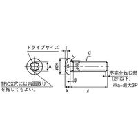 SUNCO TORXーボタンCAP 5×10 (1000本入) A0-00-T100-0050-0100-00 1箱(1000本)（直送品）