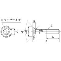 SUNCO TORXーサラCAP 新JIS 5×12 (1000本入) A0-00-T2J0-0050-0120-00 1箱(1000本)（直送品）