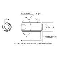 SUNCO HS(日産ネジ 平先 16×12 (100本入) A0-00-501N-0160-0120-00 1箱(100本)（直送品）