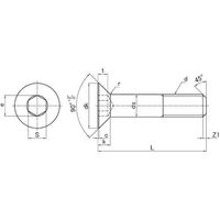 SUNCO サラCAP(細目 Pー1.25 12×35 (80本入) A0-00-2004-0120-0350-00 1箱(80本)（直送品）