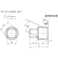 SUNCO クロメート プラグーSH(四角頭 PT 1/2 (50本入) A0-00-5720-8040-0000-02 1箱(50本)（直送品）