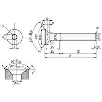 SUNCO ユニクロ サラCAP(日産ネジ JIS 12×75 (40本入) A0-00-20JN-0120-0750-01 1箱(40本)（直送品）
