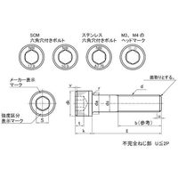 SUNCO ユニクロ CAP 日本鋲螺 16×100 (15本入) A0-00-000B-0160-1000-01 1箱(15本)（直送品）