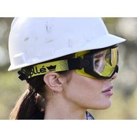 Bolle Safety ボレー ゴーグル SPECTRUM クリア 有気孔 SPECTN10W 1セット(10個) 697-6508（直送品）