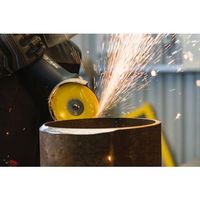 サンゴバン NORTON ファイバーディスク レザースター マキビシ 36+ 2FI100F990S36+ 1セット(25枚)（直送品）