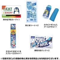 ブレイン 熱中対策キット BR-810 1式 690-7319（直送品）