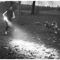 レッドレンザー LEDLENSER ライト P5R 503109 1個 708-0437（直送品）