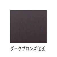 杉田エース アルミASタラップ ASAー2DB 2100 AY9241916 1台（直送品）