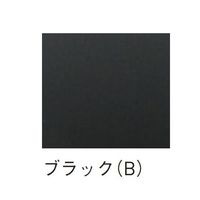 杉田エース アルミASタラップ ASAー2B 2100 AY9241943 1台（直送品）