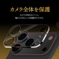 MSソリューションズ iPhone 17 Pro Max レンズ保護ガラスフィルム 高透過 GG-IL25GGLEN 1個（直送品）