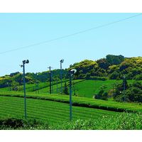 お茶の丸幸 JGAP粉末掛川茶 1セット(50g×6)